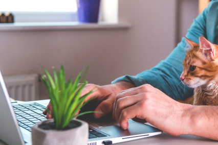 Pandemi Sonrası Bireyselleşme ve Esnek Çalışma